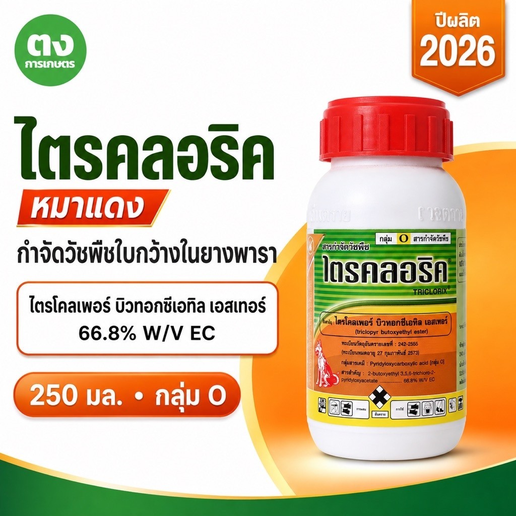 ไตรคลอริค หมาแดง 250 มล. ไตรโคลเพอร์ บิวทอกซีเอทิล เอสเทอร์ 66.8% EC กำจัดวัชพืชใบกว้างในยางพารา