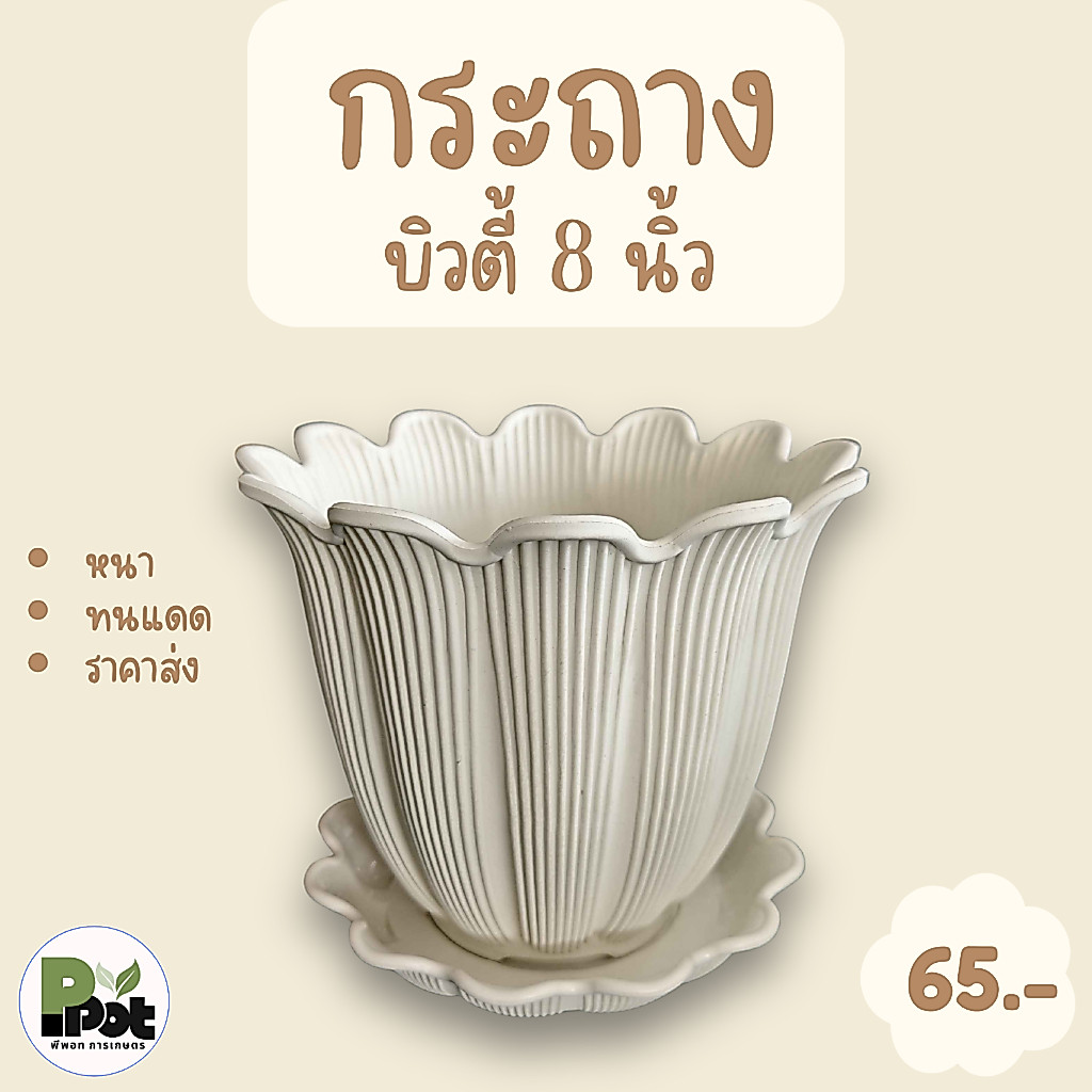 กระถางต้นไม้ รุ่นบิวตี้ 8 นิ้ว + จานรอง มีหลายสีให้เลือก สีขาว ดำ เทา อิฐ โอ๊ค ดีไซน์ทรงดอกไม้ สำหรับปลูกต้นไม้