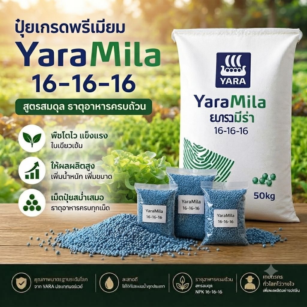 ปุ๋ยสูตร16-16-16/ยารามีร่า เร่งการเจริญเติบโตพืชแข็งแรง บำรุงทุกส่วน (แบ่งขาย)1กิโลกรัม