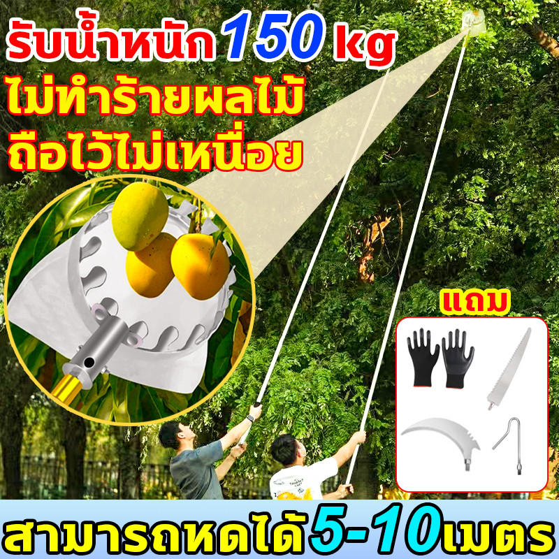 ตะกร้อสอยผลไม้ ด้ามยืดหดได้ 5/7/10M ถือไว้ไม่เหนื่อย ไม่ทำร้ายผลไม้ ที่สอยผลไม้ ที่สอยมะม่วง ไม้สอยผลไม้ ที่สอยผลไม้สูง
