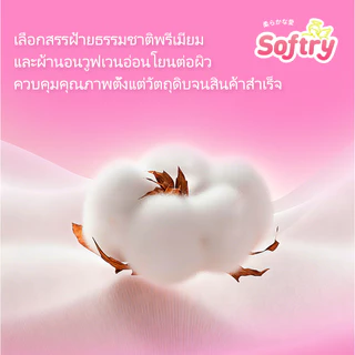 Softry ผ้าอนามัยแบบกางเกง สำหรับกลางคืน แกนโพรไบโอติก ซองซิป ถูกสุขอนามัย กันฝุ่น 24 ชิ้น
