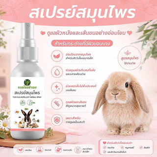 สเปรย์สมุนไพรกระต่าย ดูแลผิวหนังและเส้นขน ลดกลิ่นไม่พึงประสงค์ 100 ml กระรอก แกสปี้ แฮมเตอร์ หมอไทยทำเอง