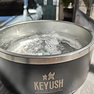 Keyush ชามน้ำเย็นนาน 8 ชั่วโมง สำหรับสัตว์เลี้ยง ชามน้ำเย็นสัตว์เลี้ยง ชามน้ำสุนัข