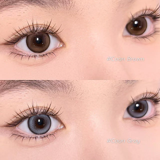 O-LOLA LENS - MEOW COON คอนแทคเลนส์เกาหลี คอนแทคเลนส์ราย 6เดือน