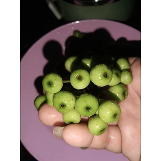 ลูกฉิ่ง (สดๆ500g/50บาท)