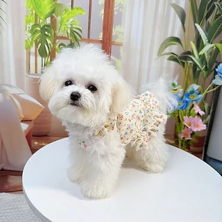เสื้อผ้าสัตว์เลี้ยง ชุดดอกไม้สำหรับสัตว์เลี้ยง กระโปรงลายดอกไม้กระโปรงเจ้าหญิงน่ารัก สไตล์ฤดูใบไม้ผลิ/ฤดูร้อน