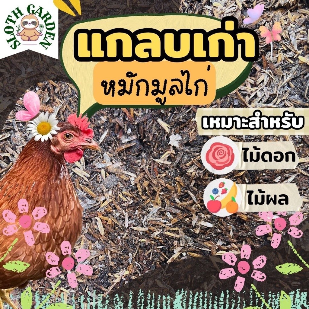 [ส่งเร็ว] แกลบเก่า หมักมูลไก่อารมณ์ดี ฟอสฟอรัสสูง บำรุงดอก ราก ปลอดเคมี ขี้ไก่แกลบ ปุ๋ยกุหลาบ