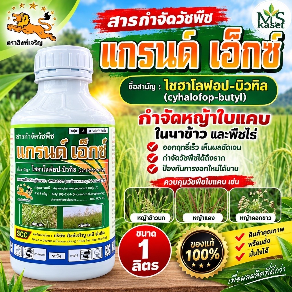แกรนด์ เอ็กซ์ (ไซฮาโลฟอบ-บิวทิลcyhalofop-butyl)กำจัดหญ้าในนาข้าว หญ้าดอกขาว