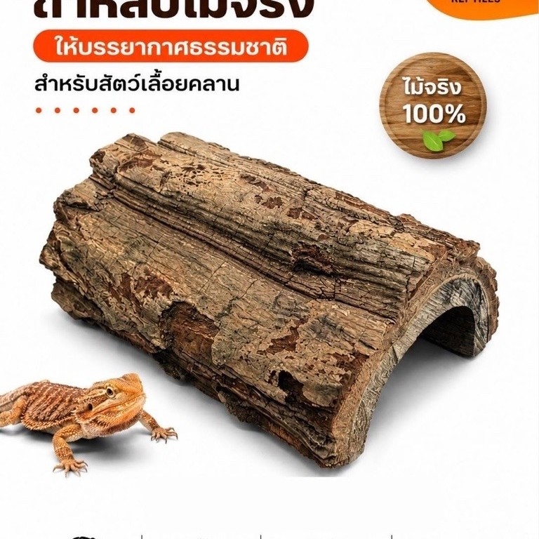 ถ้ำหลบไม้จริง สำหรับสัตว์เลื้อยคลาน เติมความเป็นธรรมชาติให้ตู้เลี้ยง พร้อมเป็นมุมหลบพักที่สัตว์เลี้ยงชื่นชอบ