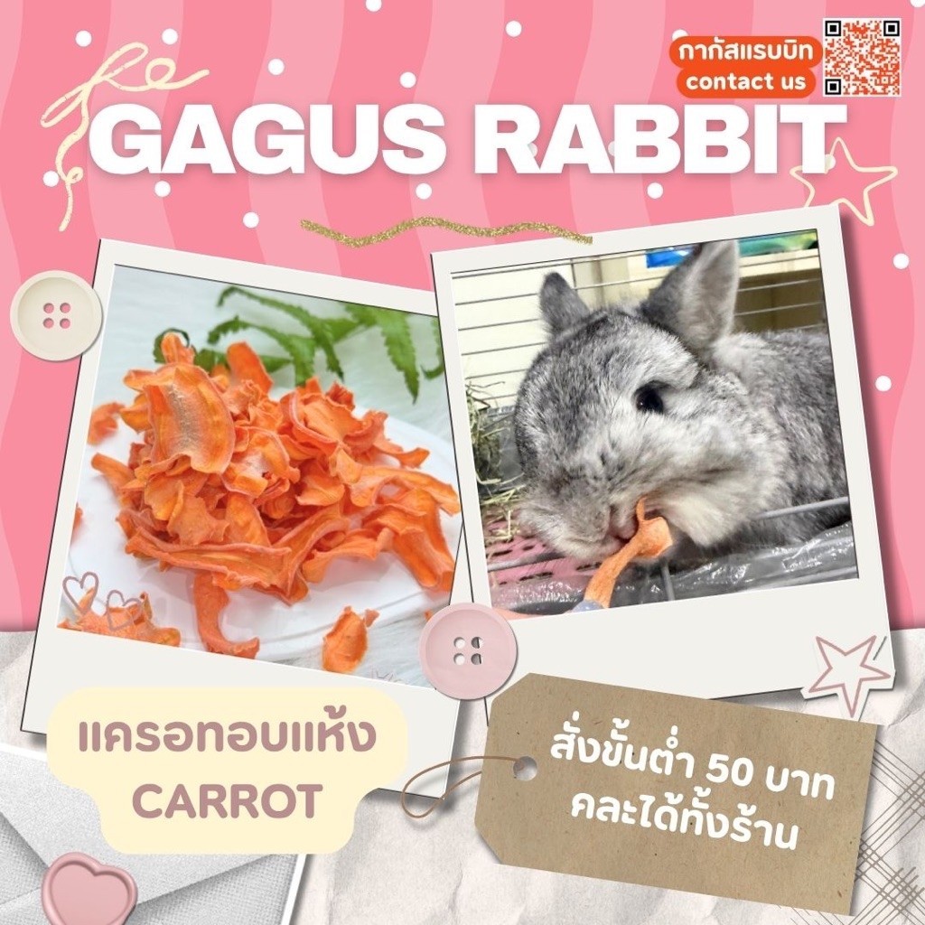 GAGUS RABBIT / (ขั้นต่ำ50บาท) แครอทอบแห้ง สำหรับกระต่าย แฮมเตอร์ ชินชิล่า แกสบี้ และสัตว์ฟันแทะ
