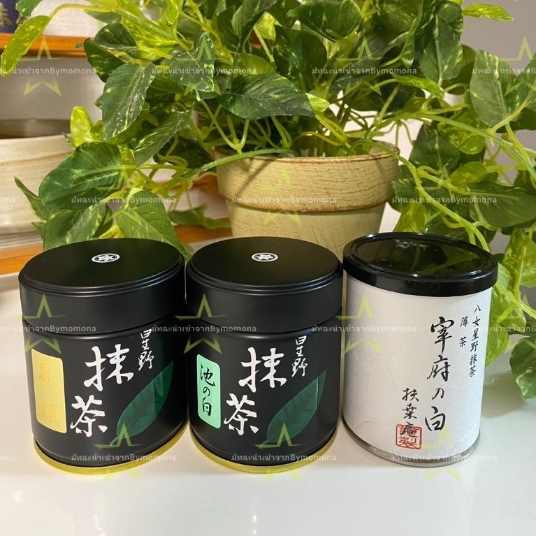 มัทฉะ นำเข้าจากญี่ปุ่นHoshino🇯🇵