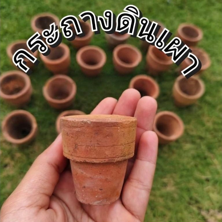กระถางดินเผาจิ๋ว สินค้ามือ1พร้อมส่ง!! สำหรับปลูกไม้น้ำแต่งตู้ปลา🐠🐠