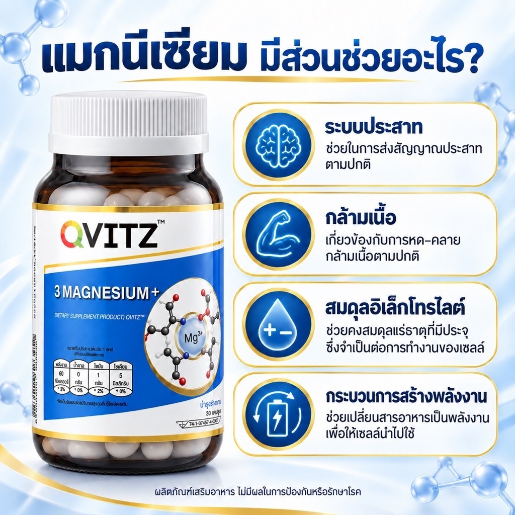 Qvitz 3 MAGNESIUM+ ได้แก่ การทำงานของระบบประสาทและกล้ามเนื้อ สมดุลอิเล็กโทรไลต์ และกระบวนการสร้างพลั