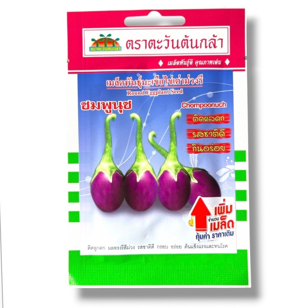มะเขือไข่เต่า ม่วงรี ชมพูนุช (ประมาณ 100 เมล็ด) ตะวันต้นกล้า