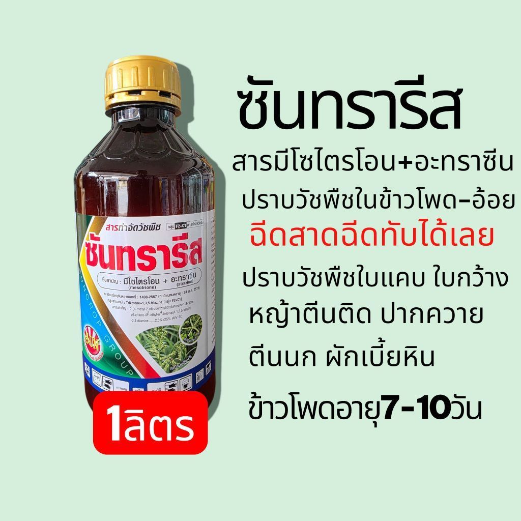 ซันทรารีส(1คำสั่งซื้อไม่เกิน12ขวดหรือ1ลัง) ปราบวัชพืชในข้าวโพด(ลุยข้าวโพด)ช่วงอายุข้าวโพด7-10วันหรือหญ้าใช้ได้2-2.5ไร่