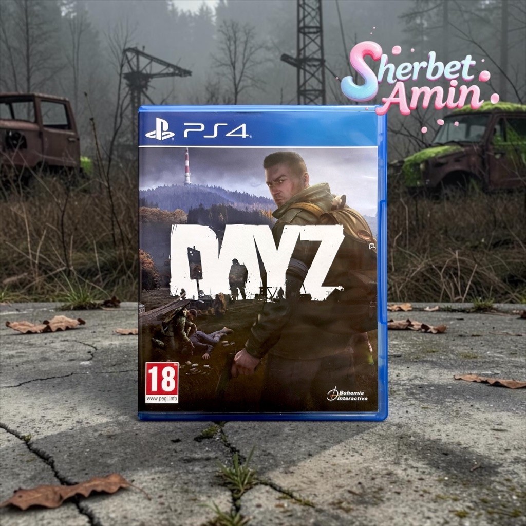 แผ่นเกม Ps4 มือสอง / Dayz / zone 2