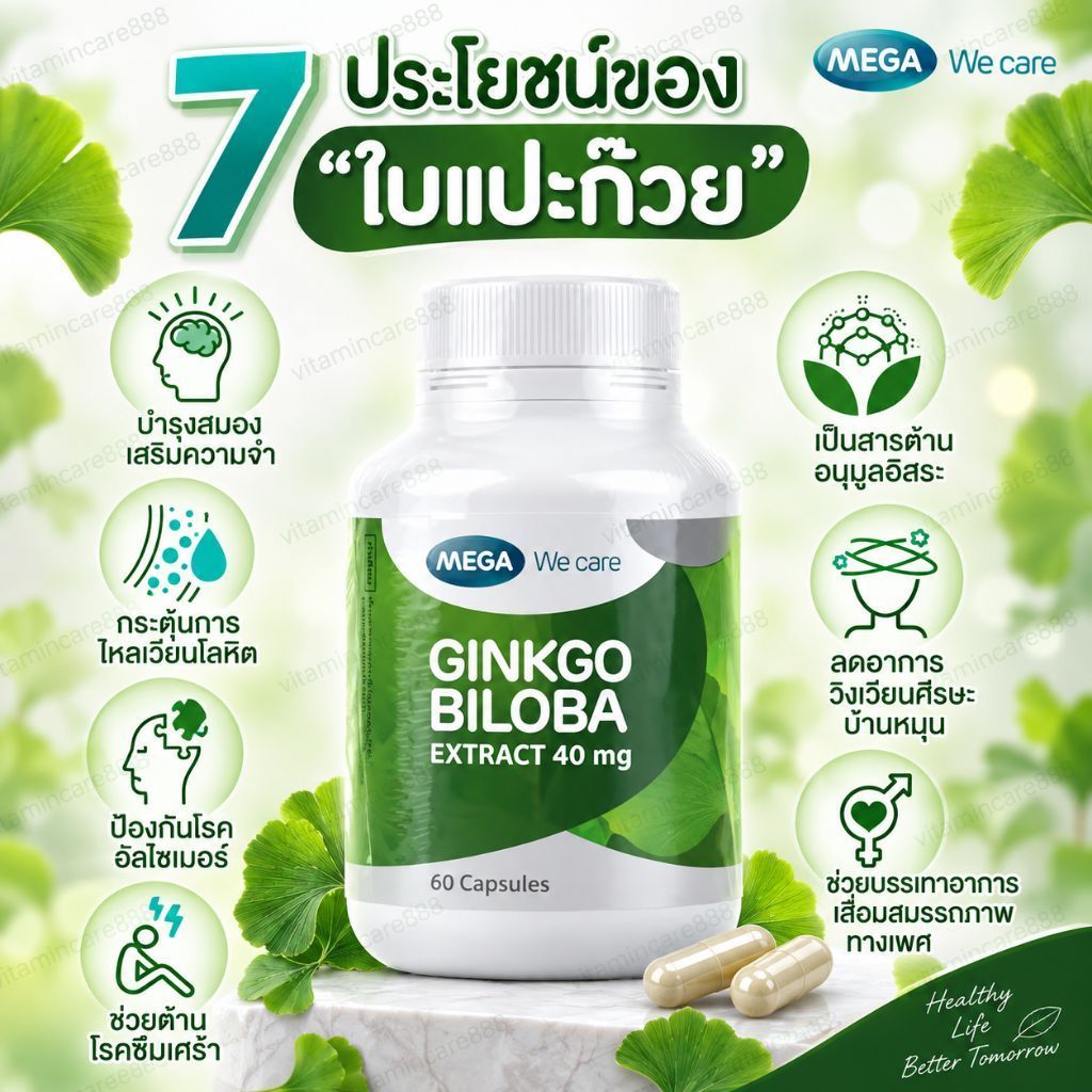 Exp.9/2028 (60 แคปซูล) สารสกัดใบแปะก๊วย บำรุงสมอง Mega We Care Ginkgo Biloba กิงโกะ