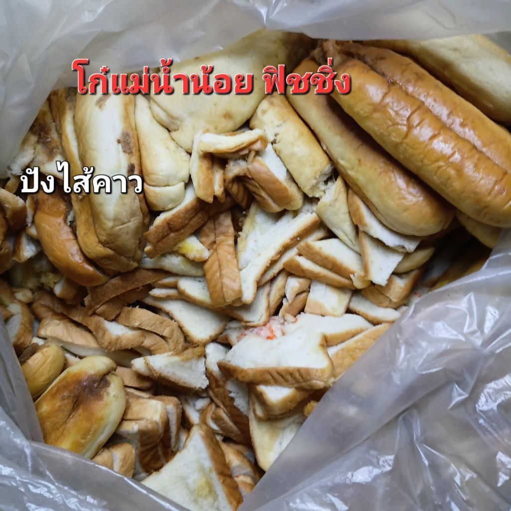 ขนมปังตกปลามีไส้ แซนวิชตกปลามีไส้ เหยื่อตกปลา