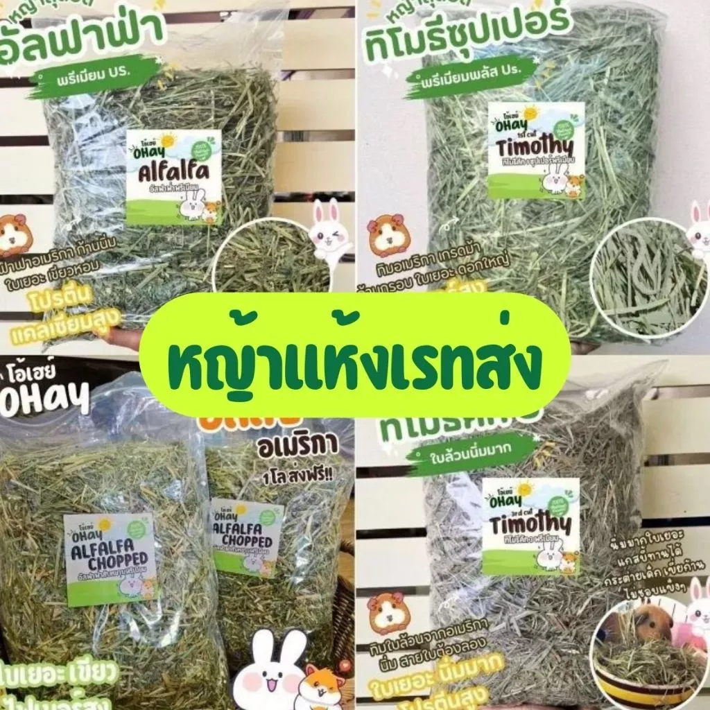 🔥Ohay หญ้ากระต่าย🔥โปรสุดคุ้ม 5 โล 10 โล หญ้าทิมโมธีคัท 1 อัลฟาฟ่า และทิโมธีคัท 3