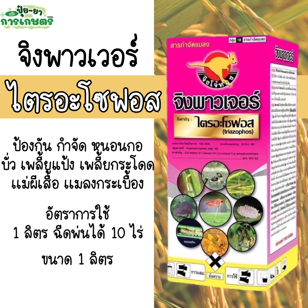 พร้อมส่ง ไตรอะโซฟอส 40% จิงพาวเจอร์ กำจัดบั่ว หนอนเจาะไล่แมลงใช้ในนาข้าว พลี้ยไก่แจ้ ไร เพลี้ยไฟ หนอนกอ บั่ว ขนาด 1 ลิตร