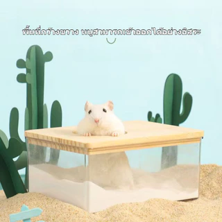 [hamster travel]หนูแฮมสเตอร์อาบน้ำอ่างทรายอุปกรณ์ครบครันห้องอาบน้ํา คริลิค เต็มโปร่งใสหมีสีทองขนาดใหญ่ห้องน้ําอาบน้ํา