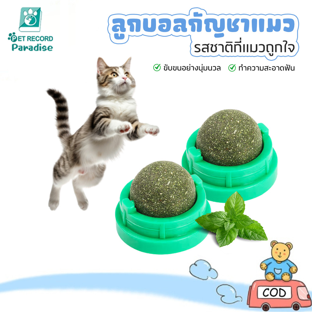 กัญชาแมว แคทนิปบอล ติดกำแพง ไม่กลิ้งหาย กันชาแมวเลีย แคทนิปบอล ติดกำแพง