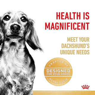 [ล็อตใหม่ exp 08/2027] Royal Canin Dachshund Adult อาหารสุนัข โรยัล คานิน สุนัขโต สายพันธุ์ ดัชชุน บำรุงกระดูก 1.5 kg