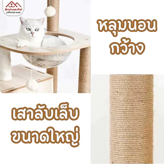 [พร้อมส่ง] Bratvee คอนโดแมว คอนโดไม้ มีหลุมใส เสาลับเล็บ เฟอร์นิเจอร์สัตว์เลี้ยง สูงถึง 200 cm