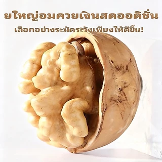 วอลนัท 400 กรัมต่อถุง เปลือกทั้งอบกรอบและหวาน เติมพลังสมอง รสชาติกรอบและบ๊อง
