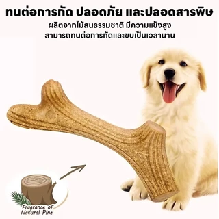yoyopet : ไม้กัด ขัดฟันสุนัข ไม้กัดของเล่นสุนัขและแมว ไม้เขากวาง ขัดฟันสะอาด กัดเพลิน ปลอดภัย
