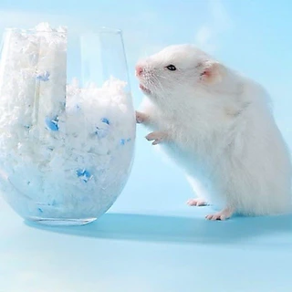 [Hamsterth]สุดคุ้ม!! รองกรงแฮมสเตอร์ พร้อมส่ง‼️ Bucatstate ฝุ่นแทบไม่มี นุ่มฟูเบา มุดเล่นได้ รองกรง