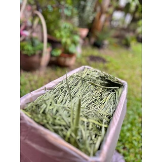 CB หญ้ากระต่าย หญ้าทิโมธีอบลมร้อน Super Premium Timothy Grass หญ้าทิมโมธี 1KG.
