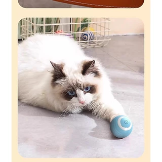 ⚡ ลูกบอลอัจฉริยะกลิ้งเองได้! 🐾 ของเล่นแมว/สุนัข สุดล้ำ 🐕‍🦺🐱 เพิ่มความสนุก กระตุ้นการเคลื่อนไหว! ✨