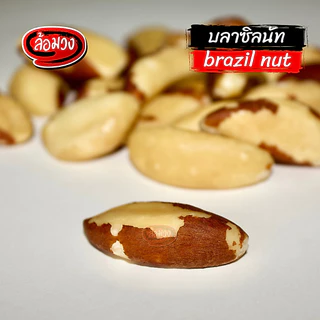 บลาซิลนัท อบไม่ใช้น้ำมัน (brazil nut) by ล้อมวง ถั่ว ธัญพืช