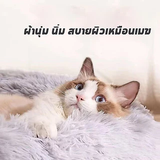 พร้อมจัดส่ง ที่นอนสัตว์เลี้ยง เบาะแมว ที่นอนสุนัข ที่นอนแมว ที่นอนโดนัทสัตว์เลี้ยง ขนฟูนุ่มมาก พื้นกันลื่นด้านล่างซักได้