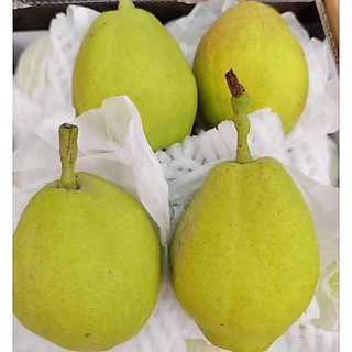 setรวมสาลี่🍐✨️✨️🍐ผลไม้มงคล 4 ชนิด สาลี่หยก,สาลี่หิมะ,สาลี่น้ำผึ้ง,สาลี่หอม