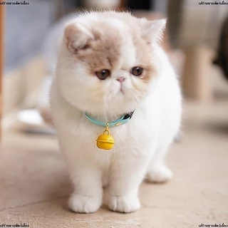 ขนาดระฆัง 22mmกระดิ่งสำหรับสุนัขและแมว กระดิ่งแมว กระพวนสัตว์เลี้ยง กระดิ่งใส่ปลอกคอสัตว์เลี้ยง ขนาด