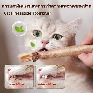 ไม้มาทาทาบิ ขัดฟันแมว แบบเชือก ไม้ขัดฟันแมว ของเล่นแมว ลดคราบหินปูน สําหรับสัตว์เลี้ยง แมว
