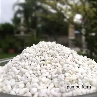 5฿ !!โปรลับ เพอร์ไลท์ Perlite ลิตรละ 5 บาท(90-120กรัม) เมื่อสั่ง 20 ลิตรขึ้นไป (บรรจุรวมนะคะไม่แยก)