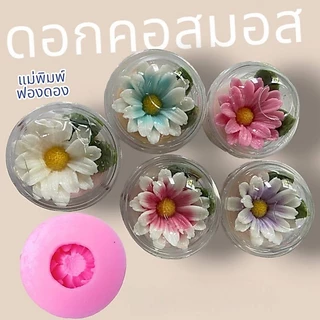 แม่พิมพ์ฟองดอง สำหรับทำขนม อาลัว สัมปันนี ขนมต่างๆ รูปดอกคอสมอส