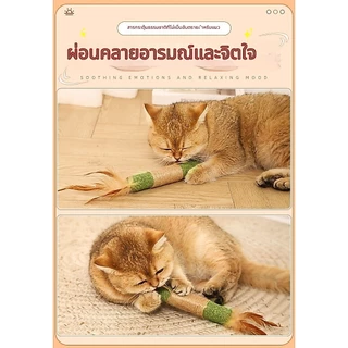 หญ้าแมว ยักษ์ & แท่งเงิน ของเล่นเคี้ยวฟัน ทำความสะอาดฟัน ลดกลิ่นปาก คลายเหงา สนุกได้เอง