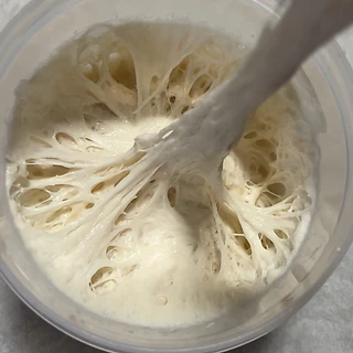 Dry yeast หัวเชื้อยีตส์จากธรรมชาติ ยีตส์แห้งสำหรับนำไปทำขนมปัง Sourdough 🥖