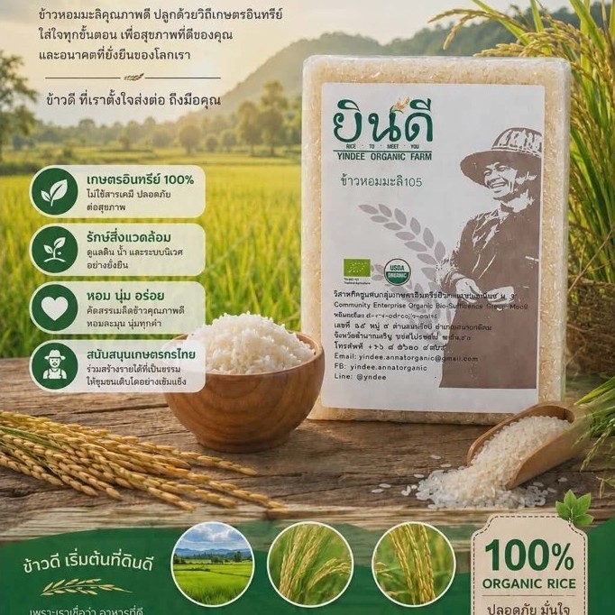 ข้าวหอมมะลิ105 ข้าวยินดี