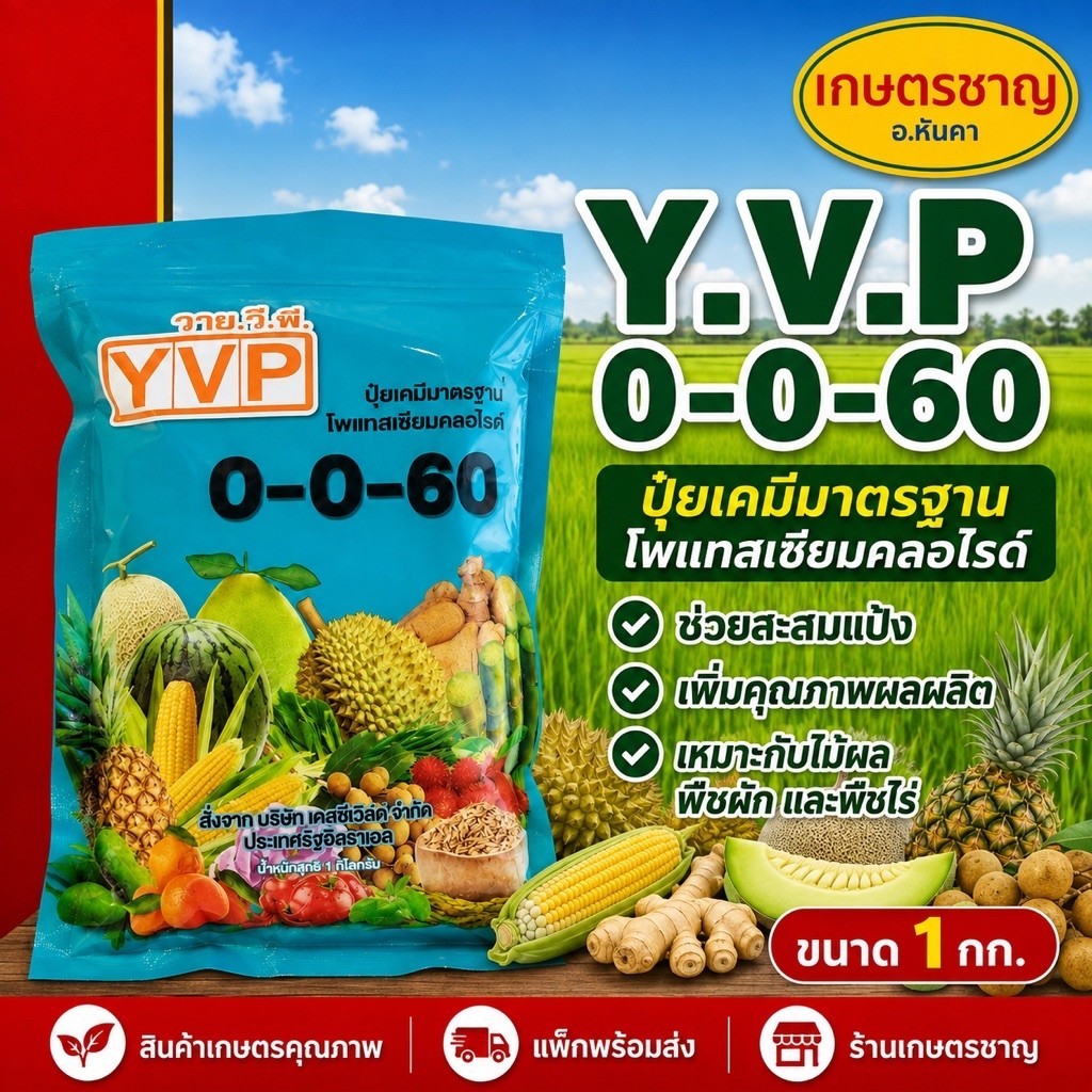 ปุ๋ยเกล็ด 0-0-60 YVPโพแทสเซียม 60%คุณภาพสูงละลายน้ำ 100%ไม่ตกตะกอนช่วยสร้างแป้ง เพิ่มน้ำตาลเพิ่มความ