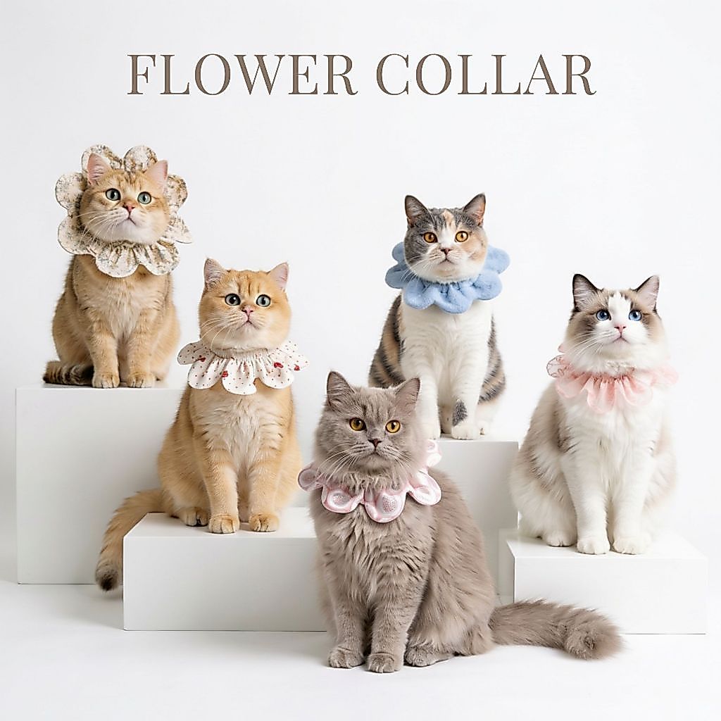 [พร้อมส่ง] SRR FLOWER COLLAR ปลอกคอสำหรับแมว เบาสบายตัว ดีไซน์และผลิตจากเกาหลี