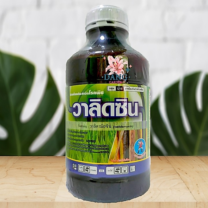 ซันวาลิด วาลิดามัยซิน ขนาด 1 ลิตร วาลิดา โรคใบติดทุเรียน ยาแก้โรคใบติด โรคใบติด ยาโรคใบติด วาลิดามัย