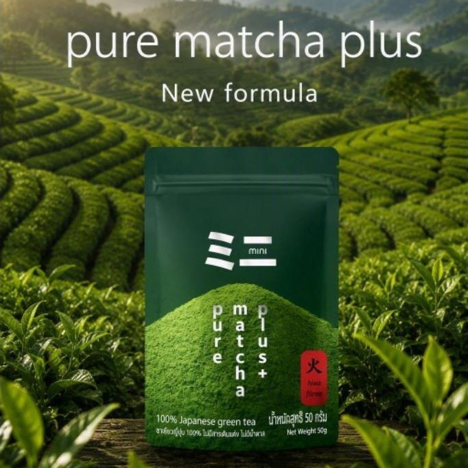 Pure matcha plus/Mini pure matcha (high firing) ของ mini.orientalo