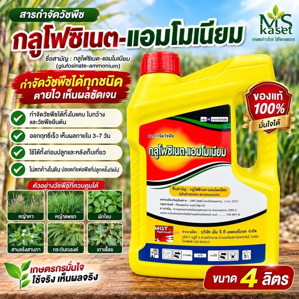กลูโฟซิเนตMGT(แกลลอนเหลือง)ขนาด 4 ลิตร เผาไหม้กึ่งดูดซึม