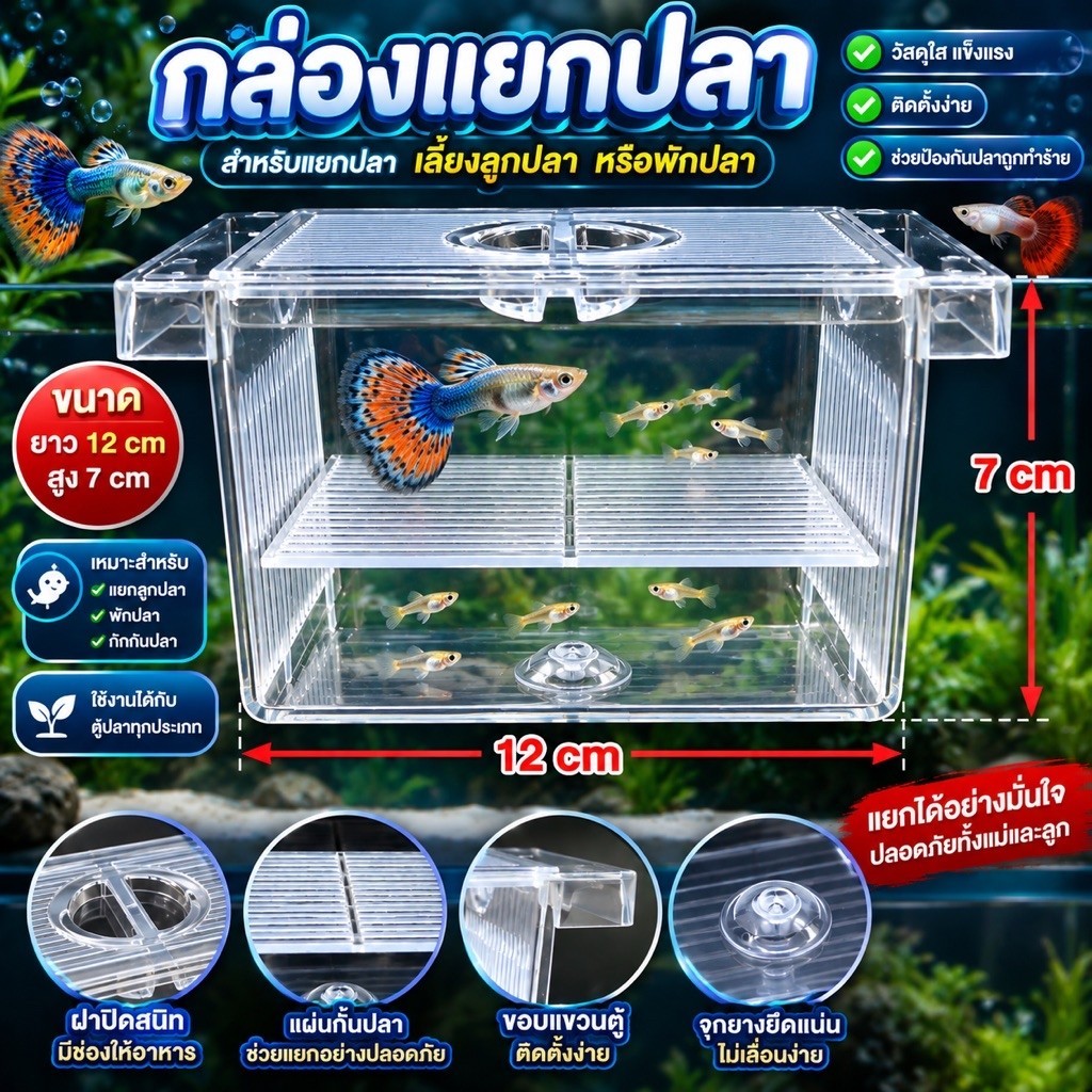 กล่องแยกปลา​ ปลากำลังท้องหรือปลาป่วย​ ขนาด2ชั้น​ สินค้าพร้อมส่ง