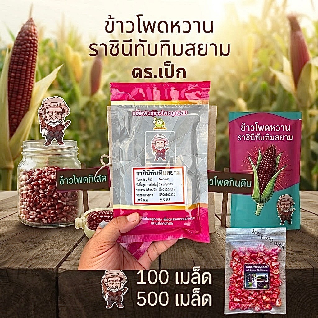 ข้าวโพดหวาน ราชินีทับทิมสยาม ดร.เป็ก ข้าวโพดกินสด ข้าวโพดกินดิบ (ขนาด 100,500 เมล็ด)